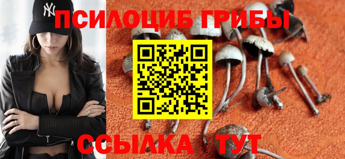 Галлюциногенные грибы мухоморы  Вход с VPN  Верхняя Салда 